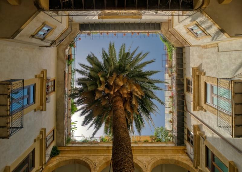 Building's inner court with palm tree in Palermo