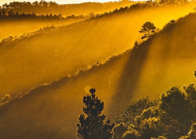 Plettensberg nature at sunset