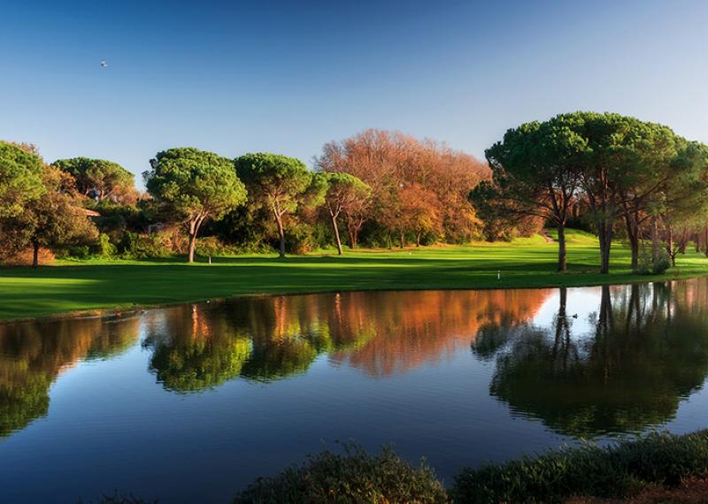 Olgiata golf course with water hazard and plants in the background