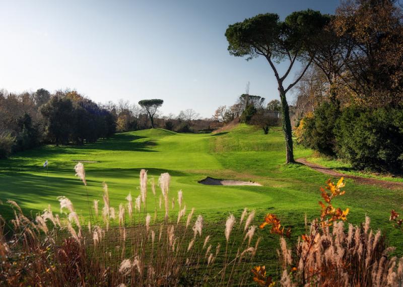 Olgiata golf course fairway and surrounding vegetation