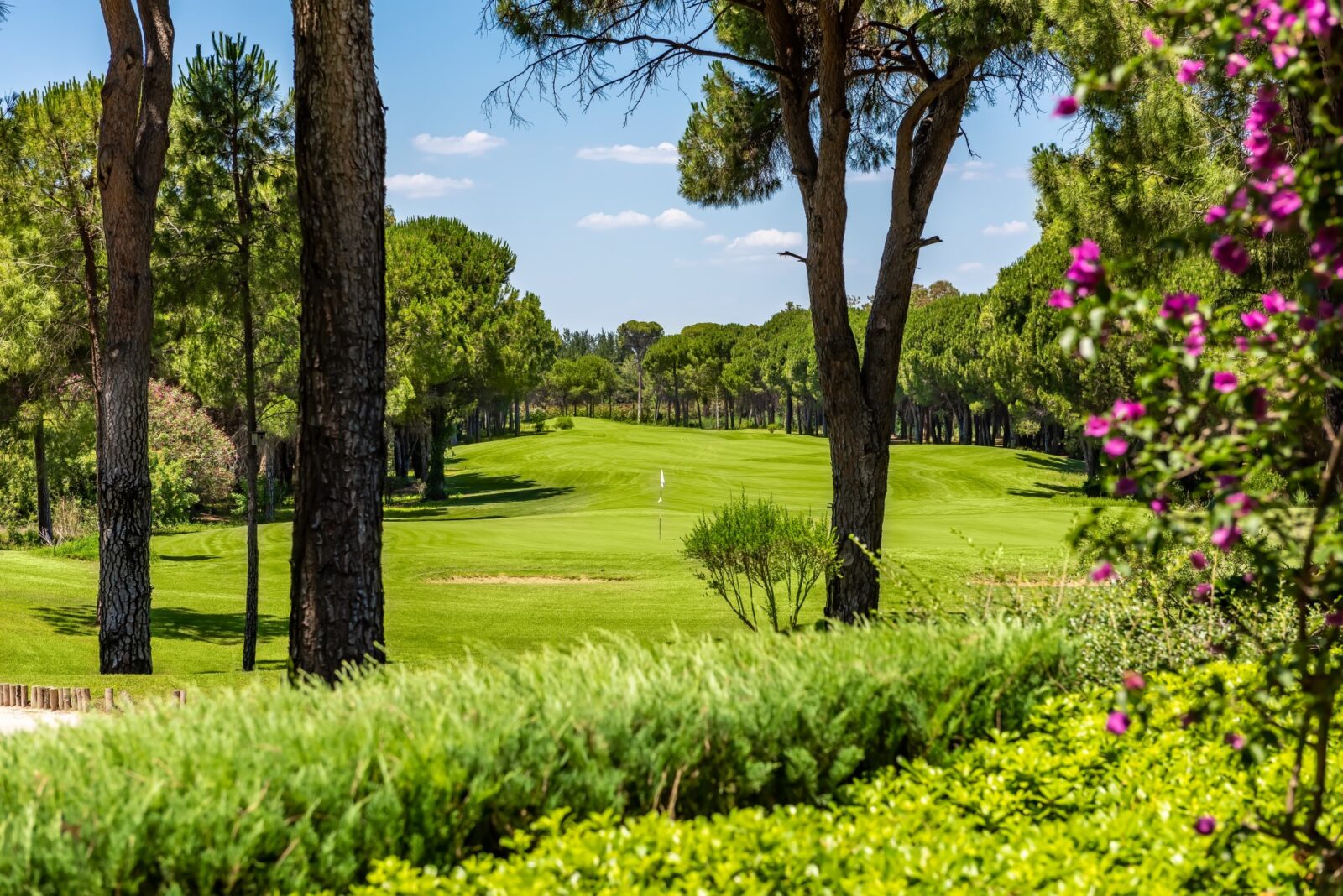 Cornelia Golf Club
